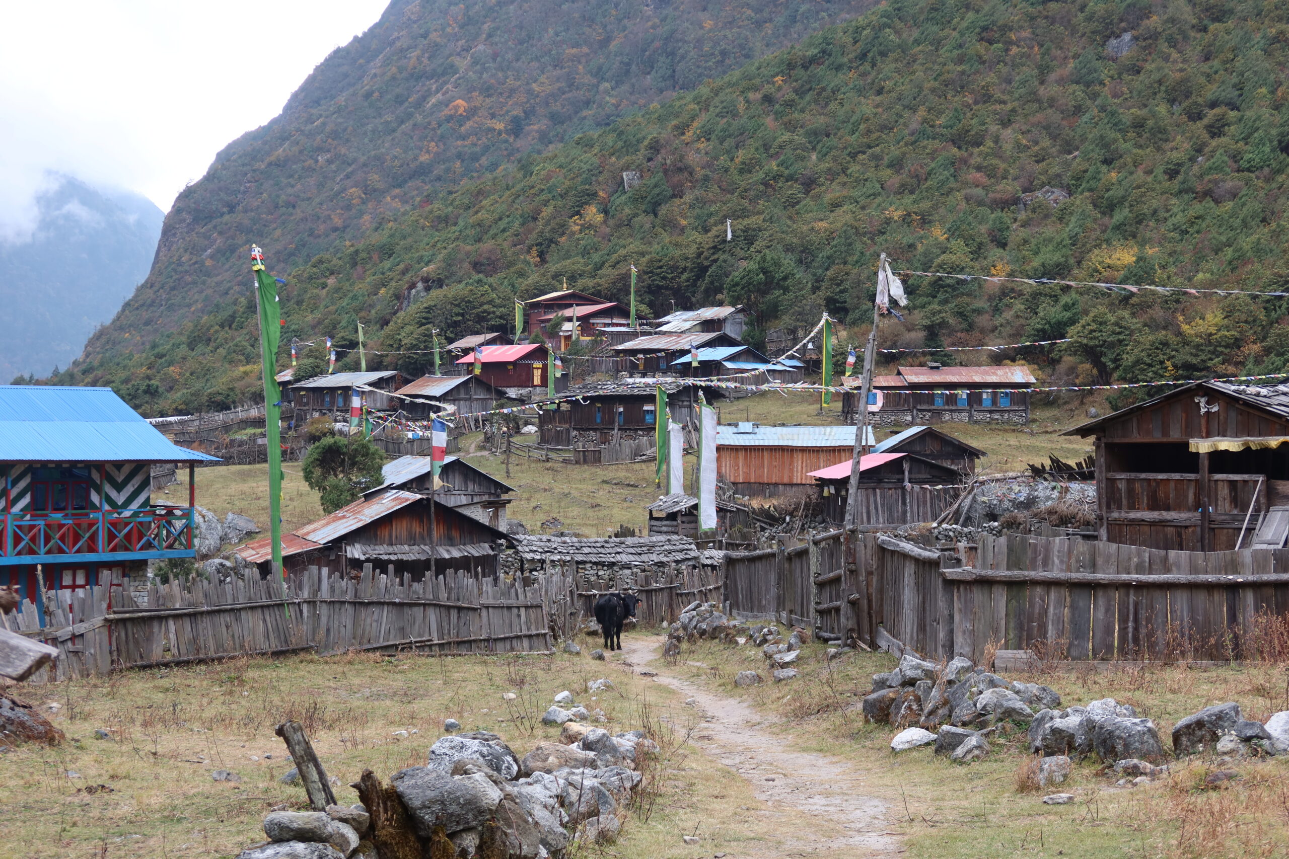 Kanchanjunga Circuit Trek