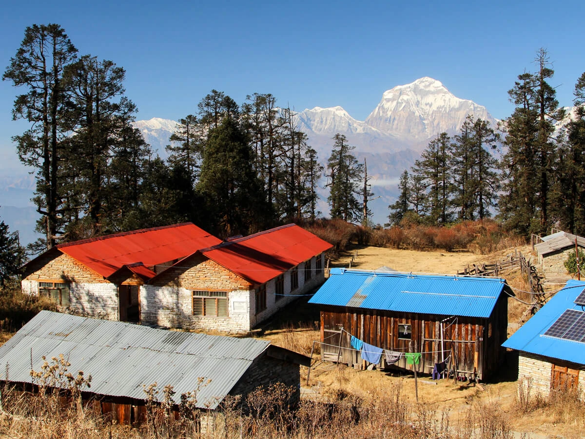 Mohare Dhanda Trek Community Eco Lodge Trek. Mohare Dhanda Trek Community Eco Lodge Trek.